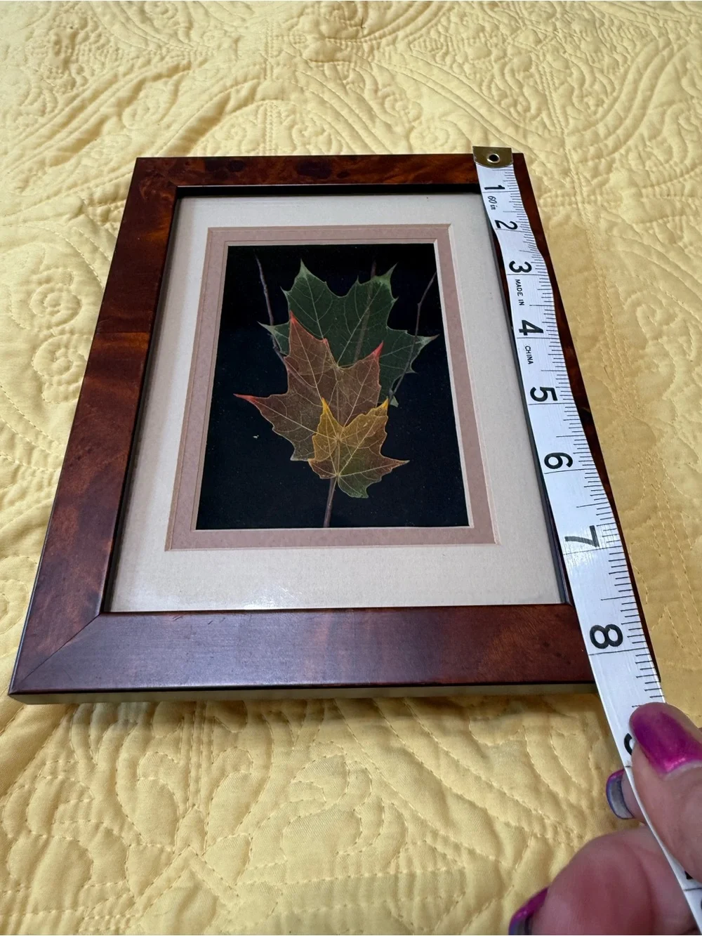 Neutral Framed Leaf Wall Art Set - Cream and Brown Lot 3